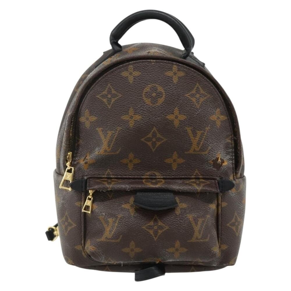 Louis Vuitton Monogram Palm Springs Mini Backpack Brown